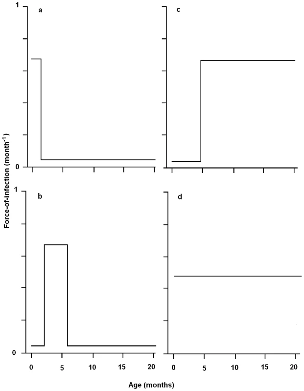 Schematic representing the possible age-specific force-of-infection for transmission of <i>Bordetella bronchiseptica</i> infection to New Zealand White rabbits in a commercial rabbitry.