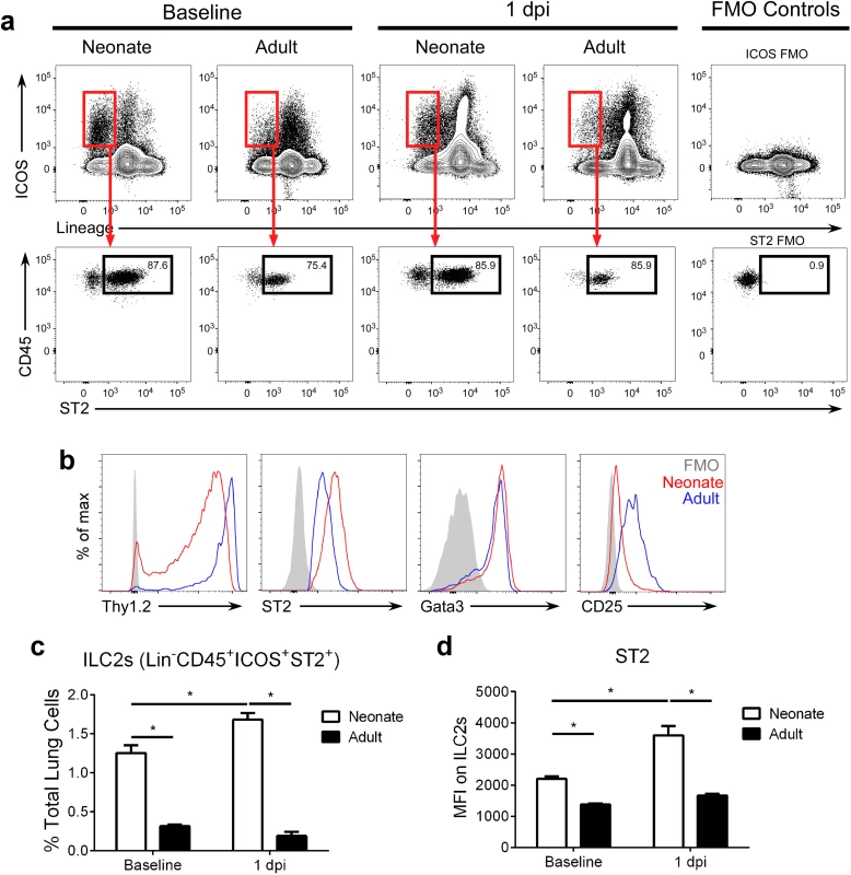 The percentage of ILC2s in the lungs of neonatal mice are further increased after RSV infection.