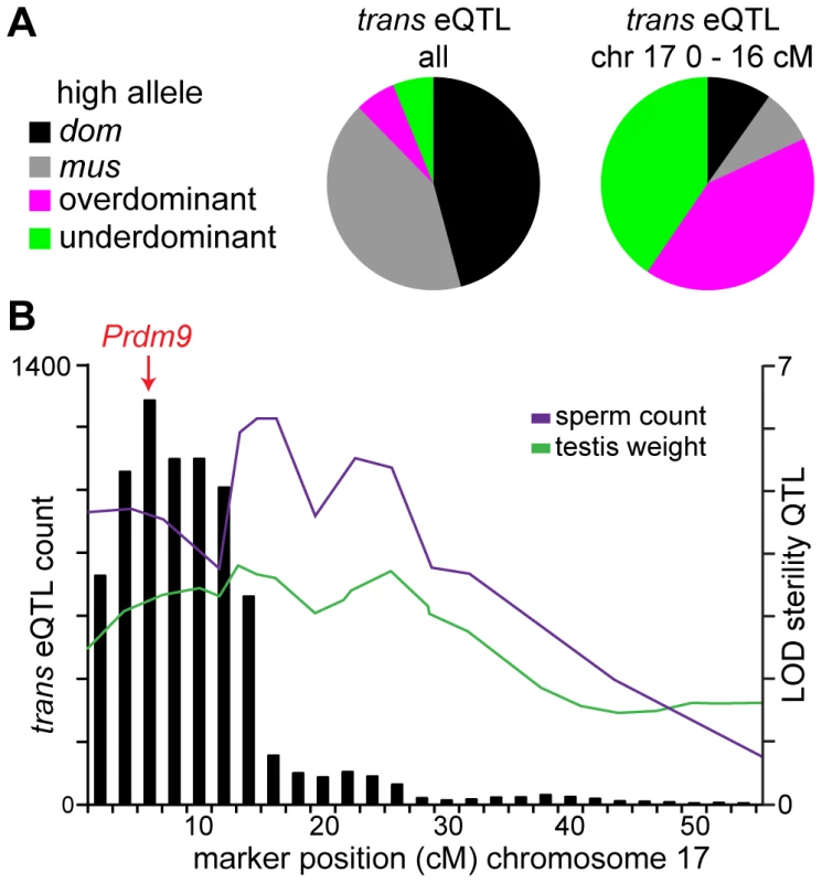 Chromosome 17 hotspot position and effects implicate <i>Prdm9</i>.