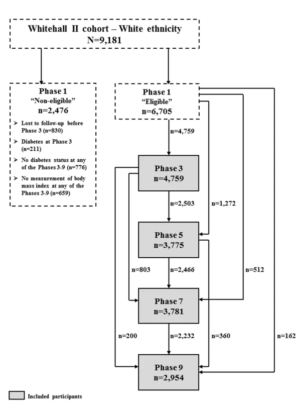 Flow diagram of the participants included at each phase.