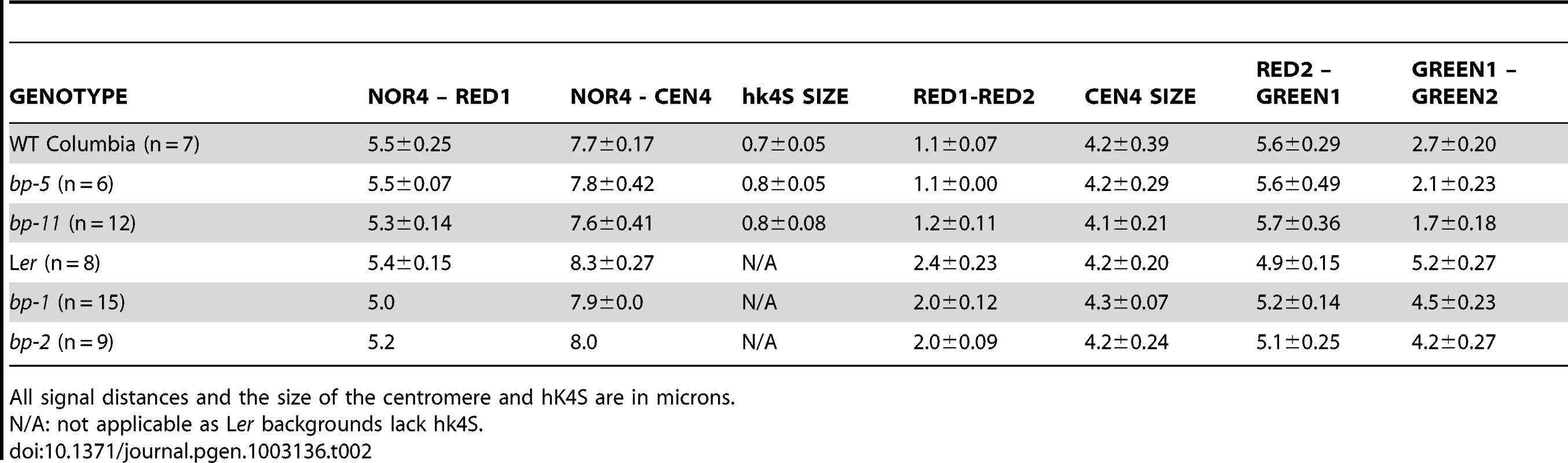 Cytological and FISH analysis of Columbia, Landsberg <i>erecta</i>, and the <i>bp</i> alleles.