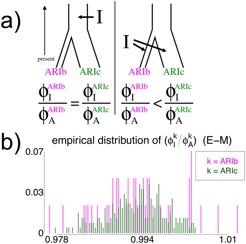 Effect on genetic similarity of two possible timings of DNA introgression.