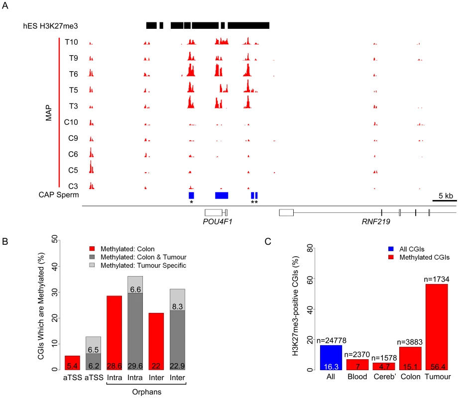 Distinct characteristics of normal and tumour-specific CGI methylation.