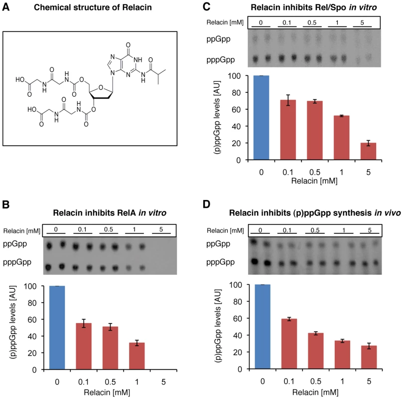 Relacin inhibits the activity of Rel proteins.