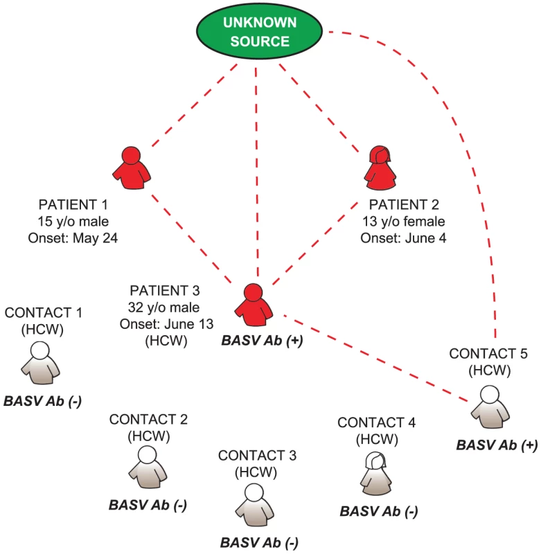 Proposed model for BASV transmission during the hemorrhagic fever outbreak in Mangala.
