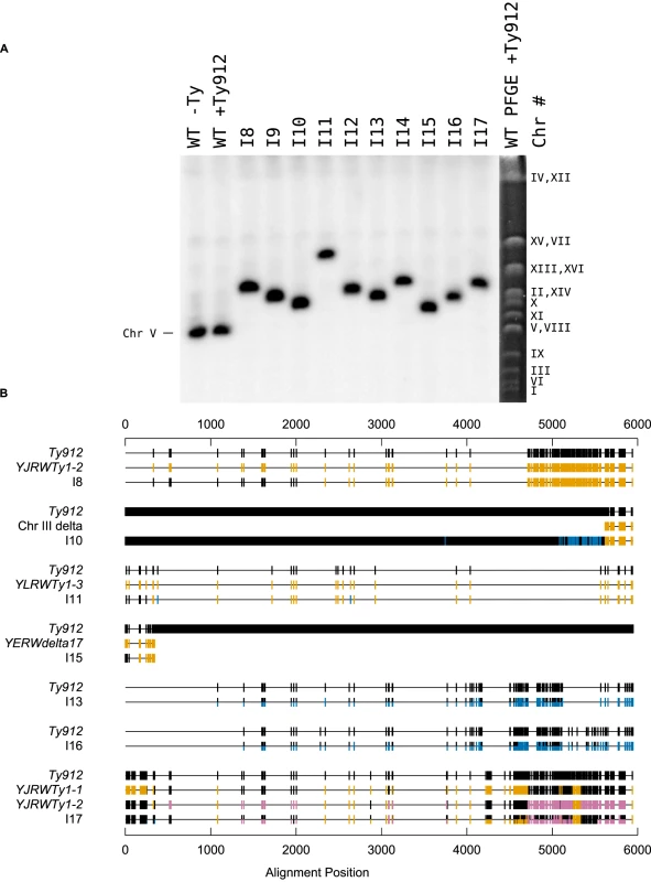 <i>Ty912</i> mediates GCRs.