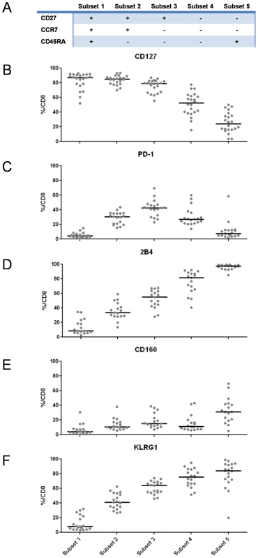 Receptor expression profiles are linked to T cell differentiation.