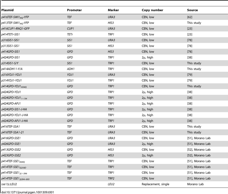 Plasmids used in this study.