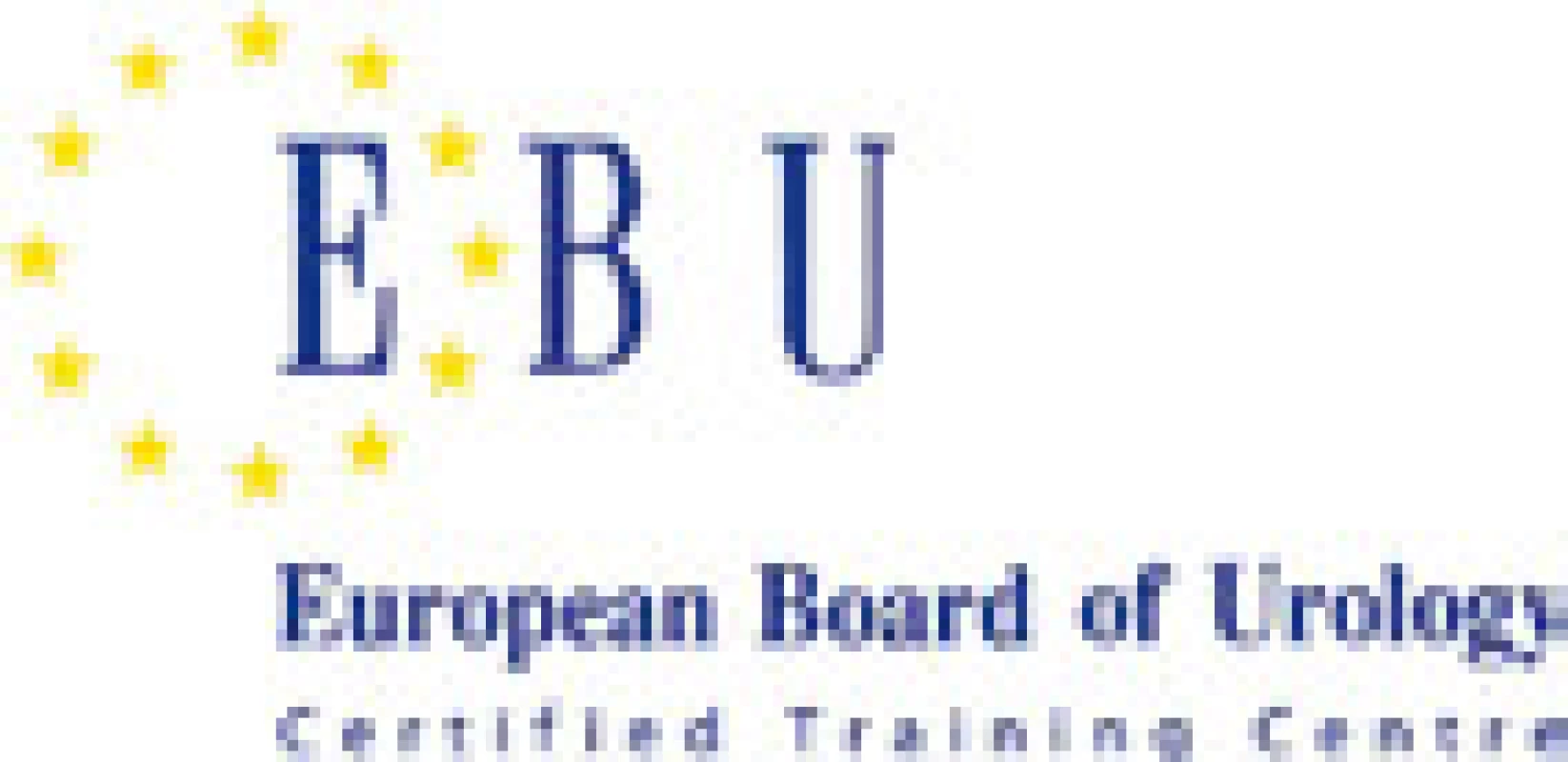 Logo, které smí užívat certifikovaná centra postgraduálního vzdělávání certifikovaná EBU
Fig. 1. Logo of centers certified by EBU