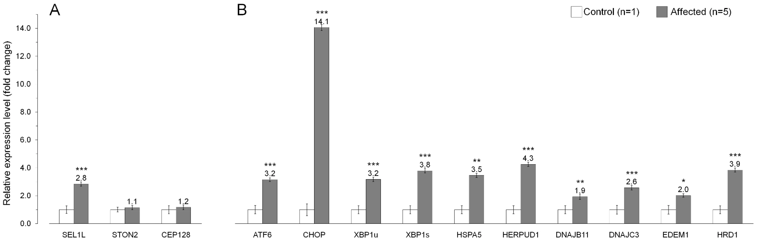 Gene expression analysis in the affected cerebellum.
