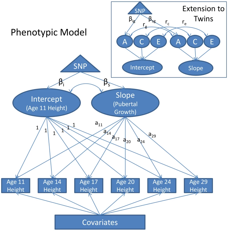 Diagram of the Piecewise Linear Growth Model.