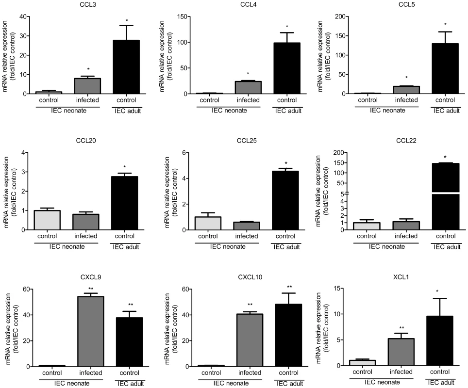 Weak chemokine expression by epithelial cells of neonates is upregulated by the infection.