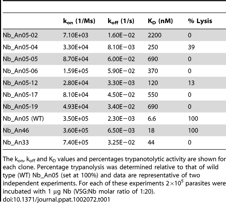 Antigen-binding kinetic parameters of the different Nb_An05 mutants as well as the wild type Nb_An05, Nb_An46 and Nb_An33 were determined using surface plasmon resonance (CM5/VSG-chip).
