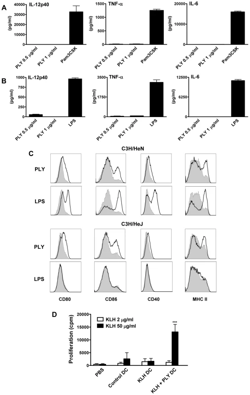 Endotoxin-free PLY does not induce cytokine production by DC or macrophages but does enhance DC maturation in a TLR4-independent manner.