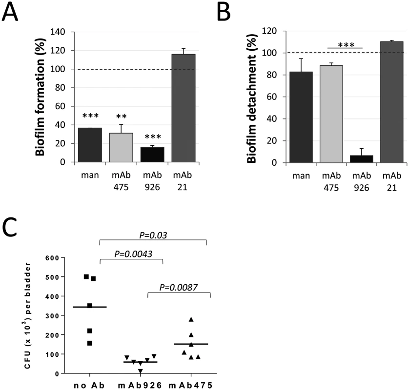 Effect of mAb926 and mAb475 on biofilm formed by <i>E</i>. <i>coli</i> UTI89 on mannan-coated surfaces and bladder infection in mice.