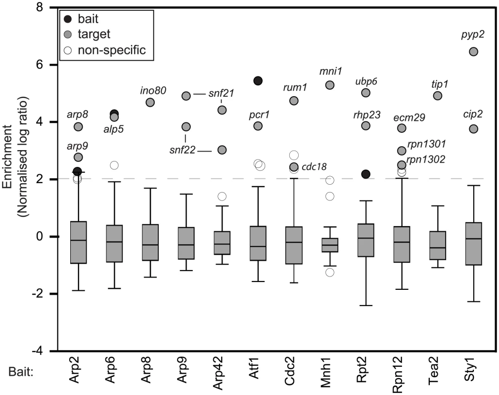 Many proteins that lack RNA–binding domains associate specifically with small numbers of mRNAs.