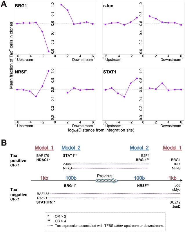 Influence of proximity to TFBS on Tax expression.