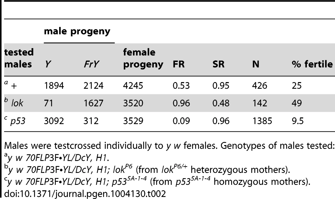 <i>FrY</i> recovery from wildtype and mutant males (38° 1 hr. heat shock at 0–72 hours of development).