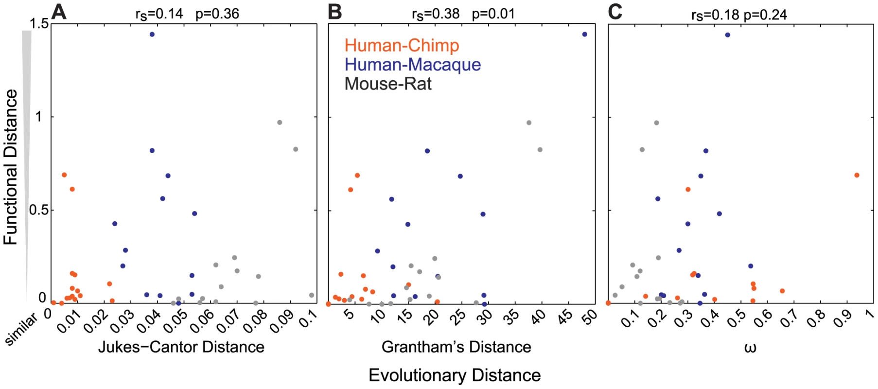 Sequence similarity does not accurately predict the functional properties of ORs.