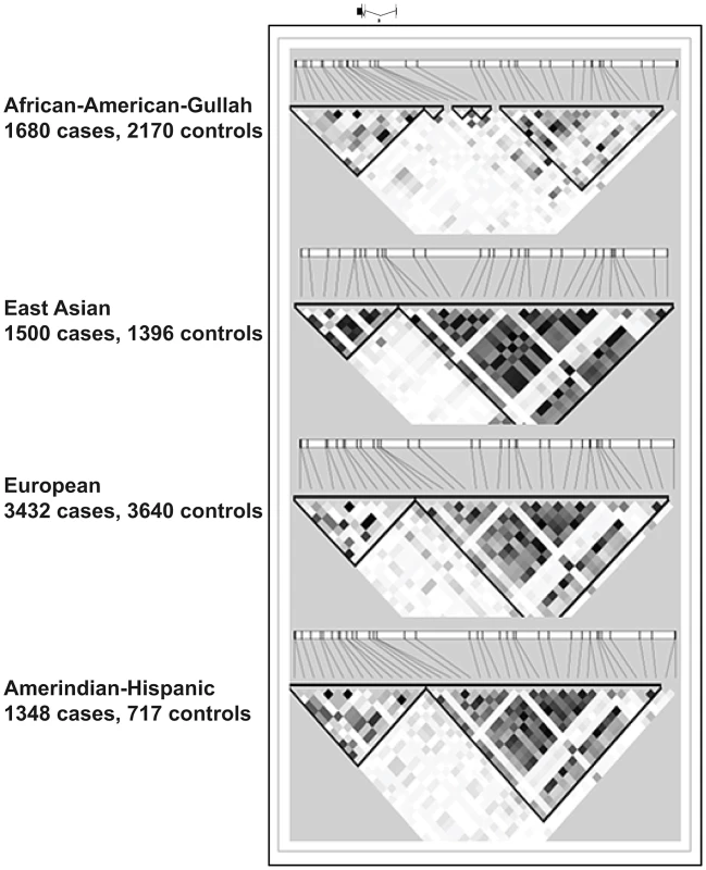 LD plots at <i>TNFSF4</i> locus in four populations.