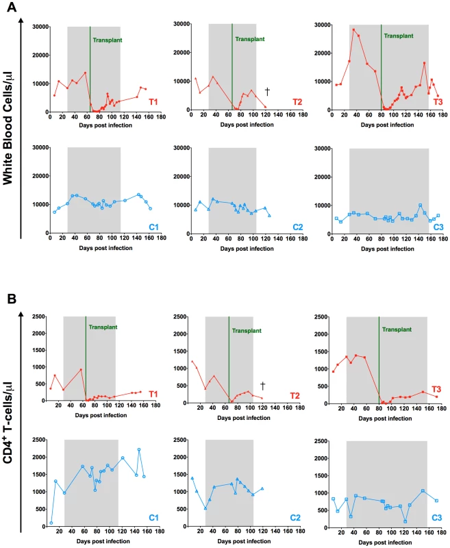 Effect of autologous HSCT on white blood cell and CD4<sup>+</sup> T-cell counts.