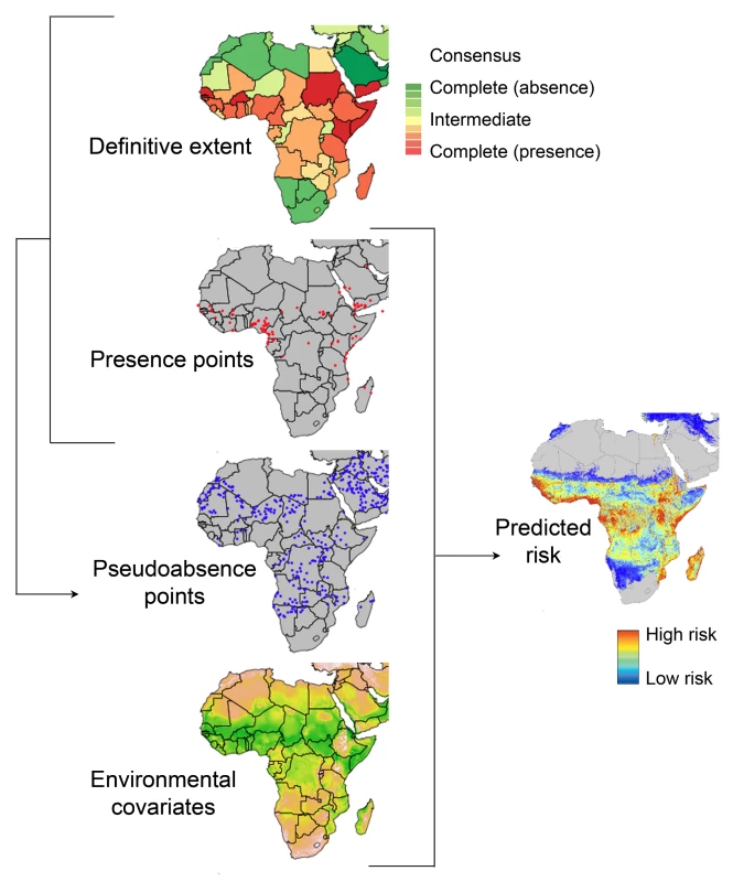 A schematic overview of the process of predicting spatial disease risk.