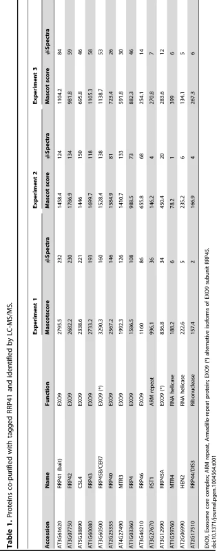 Proteins co-purified with tagged RRP41 and identified by LC-MS/MS.