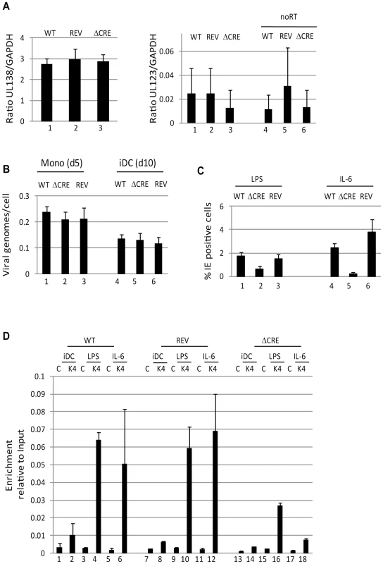 Deletion of the creb response elements from the MIEP abrogates reactivation in DCs.