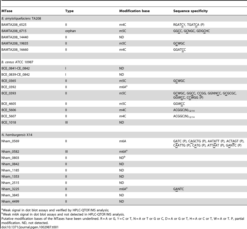 The MTases involved in this study and their characteristics.