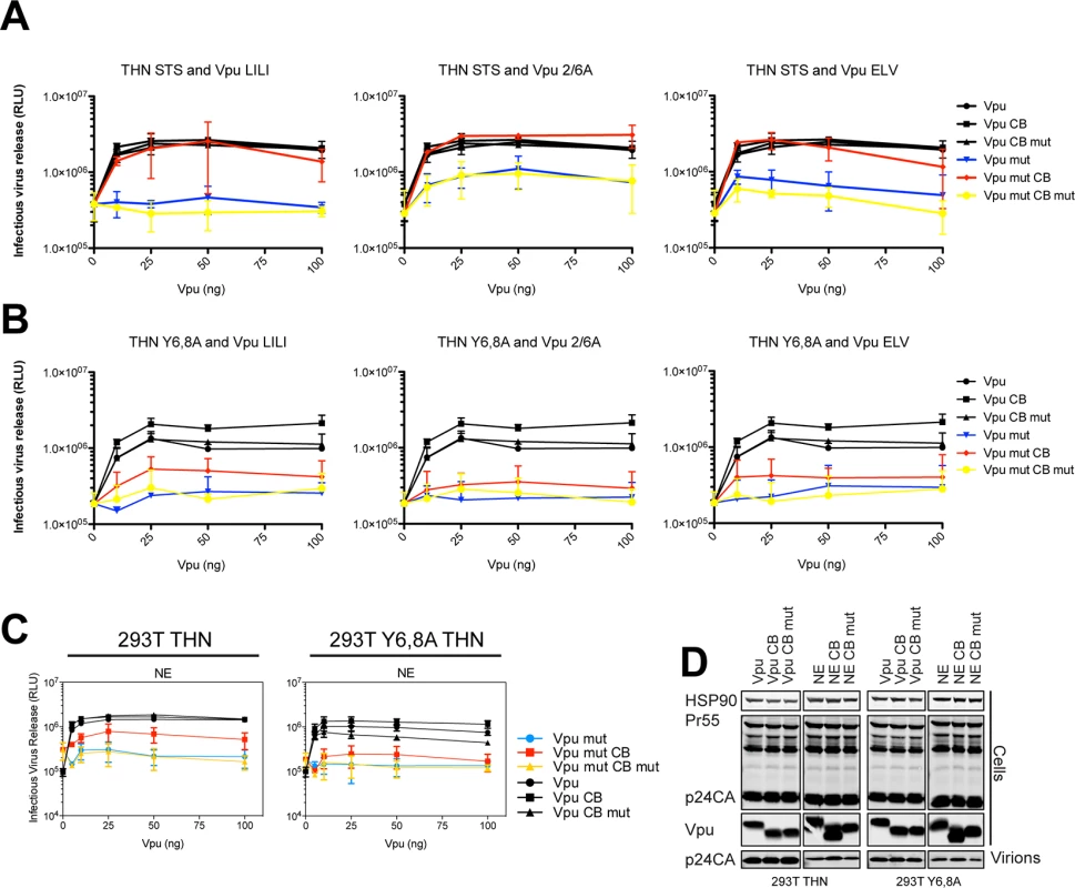 Clathrin box rescue of Vpu mutants is dependent on tetherin’s Y6,8 sorting signal.