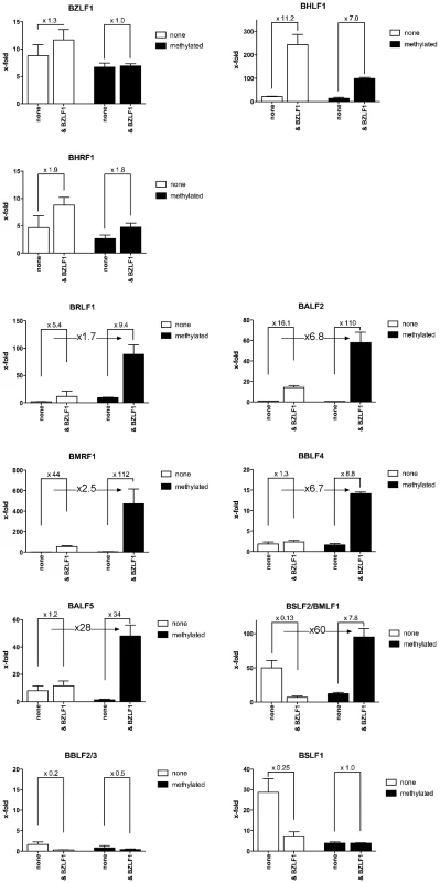 Zta transactivates CpG-methylated promoters with superior efficiency.