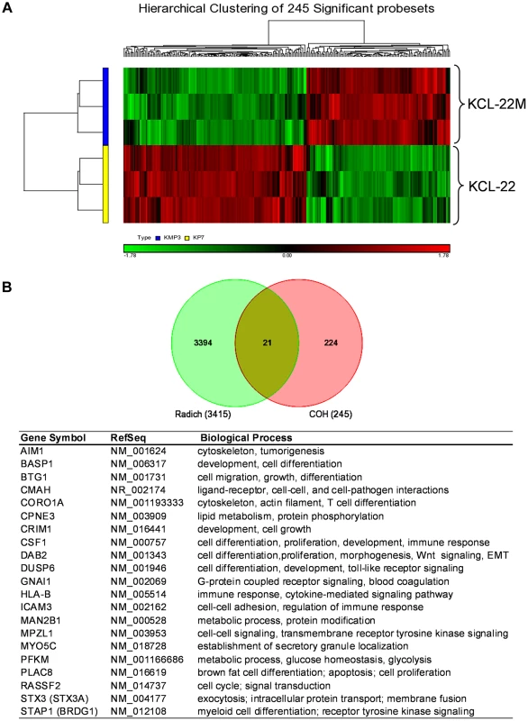Microarray gene expression analysis of KCL-22 vs KCL-22M cells.