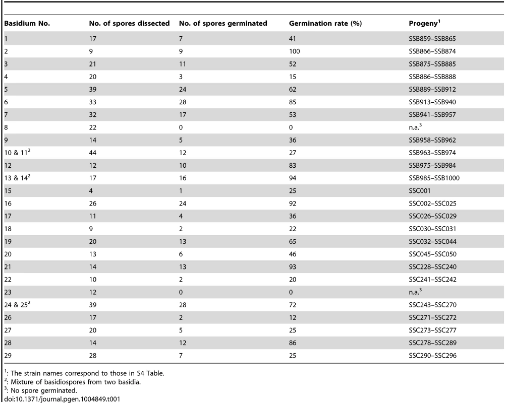 Summary of basidia dissected from opposite sex mating between strains 431α and XL280a.
