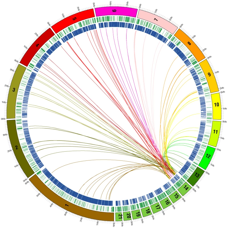 Analysis of genes that are shared between dispensable chromosome 14 and the 13 core chromosomes of <i>Mycosphaerella graminicola</i> isolate IPO323.
