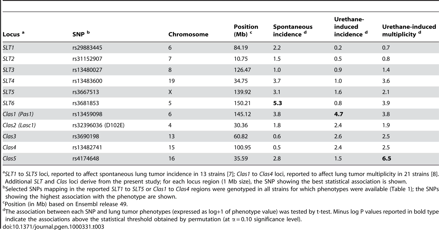 Putative lung tumor modifier loci identified by previous genome-wide association studies or by the present study using the WTCHG SNP panel.
