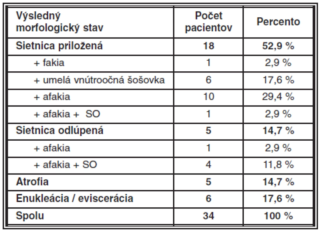 Výsledný morfologický stav