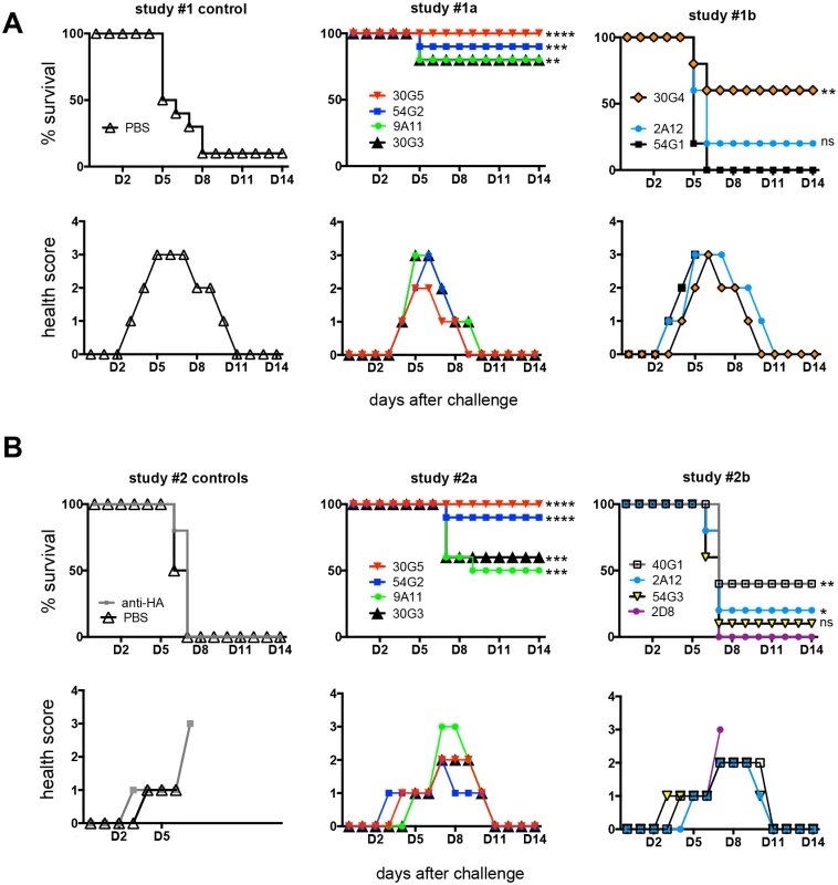 <i>In vivo</i> survival data.