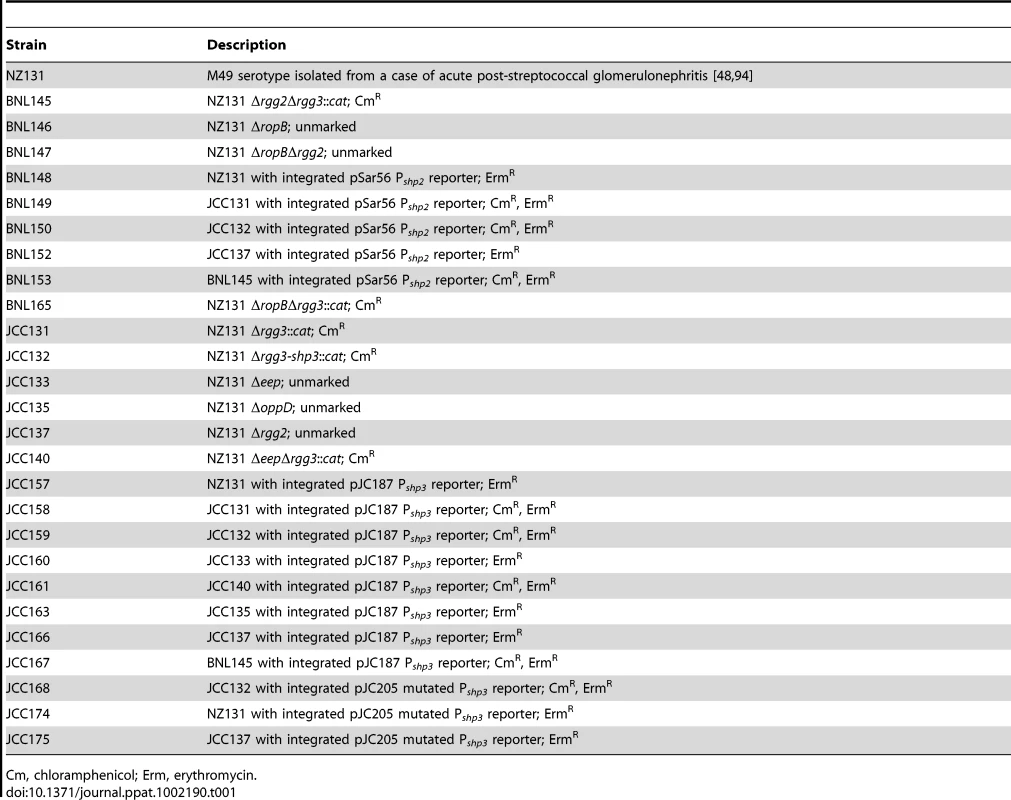 Strains used in this study.