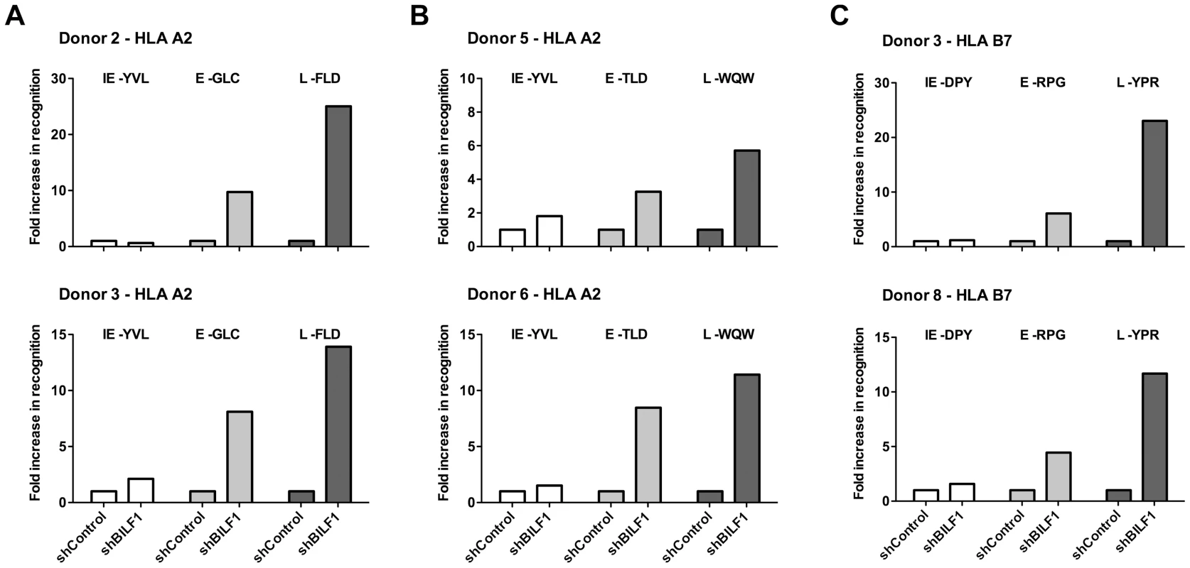 BILF1 predominantly interferes with peptide presentation to CD8<sup>+</sup> T cells during late stage lytic cycle.
