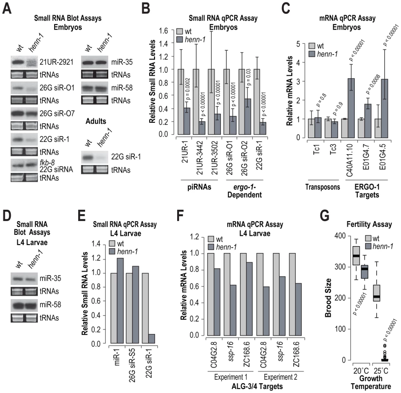RNA silencing defects in <i>henn-1</i> mutants.