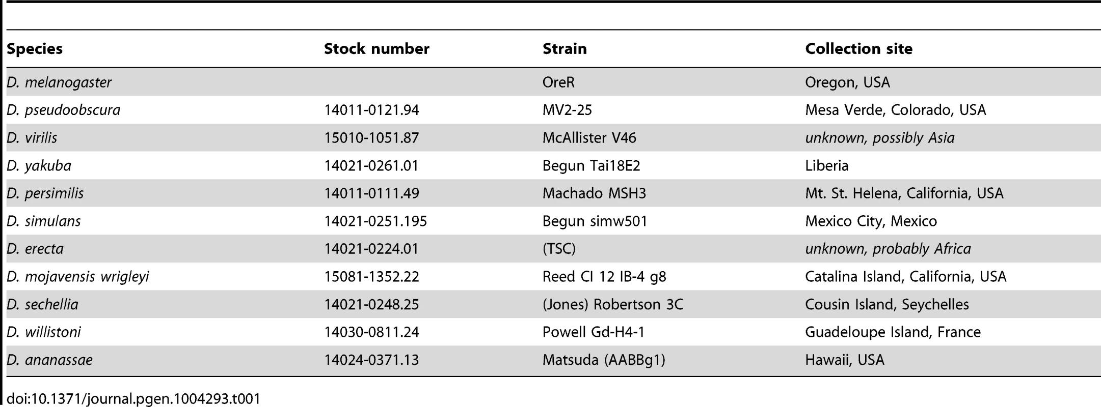 <i>Drosophila</i> species and strains.