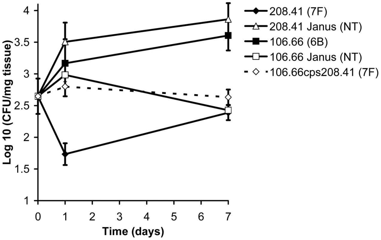 Relationship between capsule type and carriage efficiency in a mouse model.