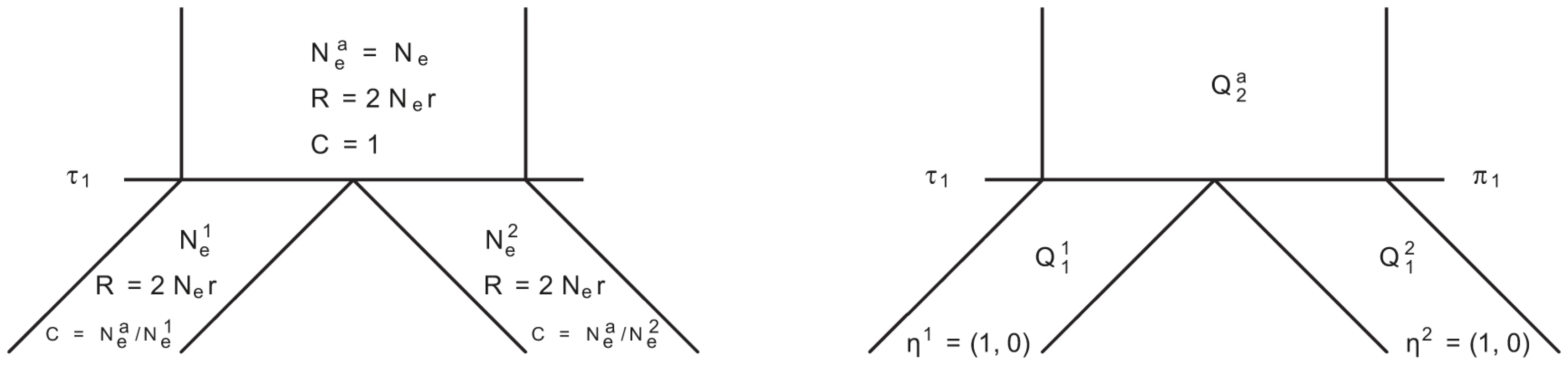 Isolation model.