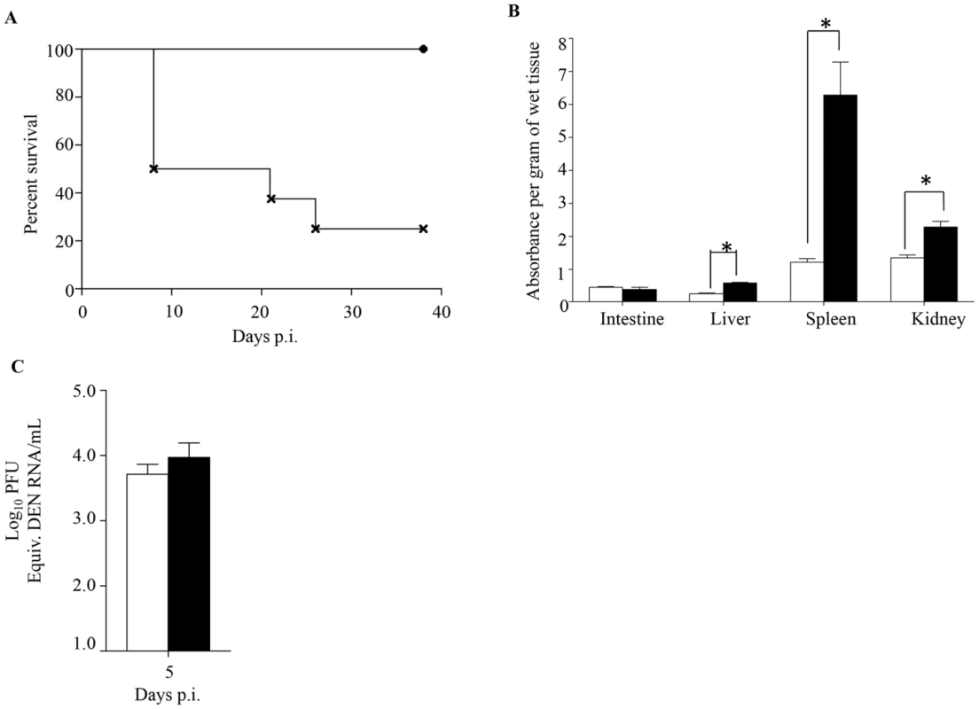 Survival rate, vascular leakage and viremia in mice born to either DENV1 immune or dengue naïve mothers, and infected with MT5 DENV2.