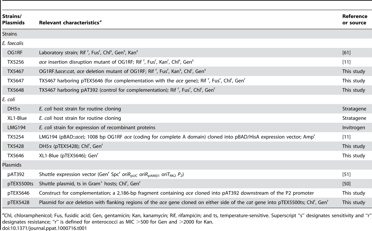 Bacterial strains and plasmids used in this study.