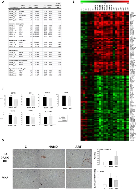 Common dysregulated genes in brain tissues of treated and untreated HAD patients.