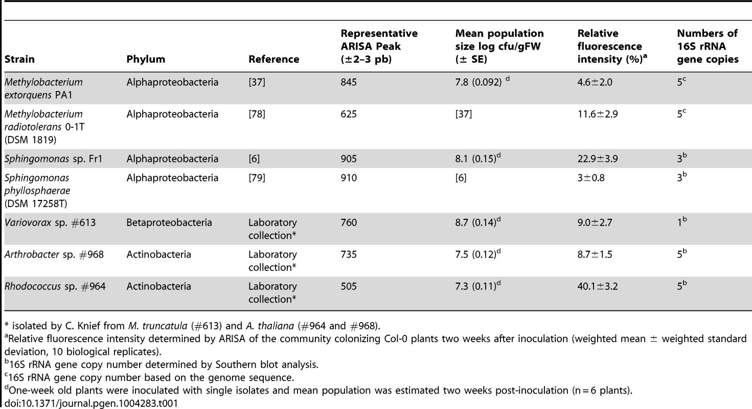 Bacterial strains to build the synthetic community used in this study.