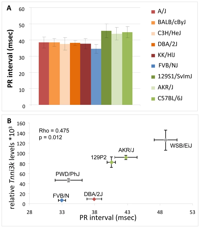 <i>In silico</i> and <i>in vivo</i> correlation of <i>Tnni3k</i> levels and PR interval duration.