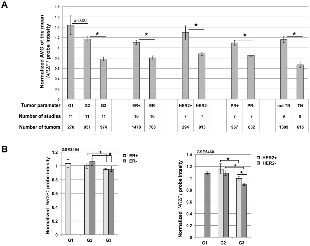 Reduced <i>NR2F1</i> transcript levels in human breast cancer correlate with histological grade 3 tumors.