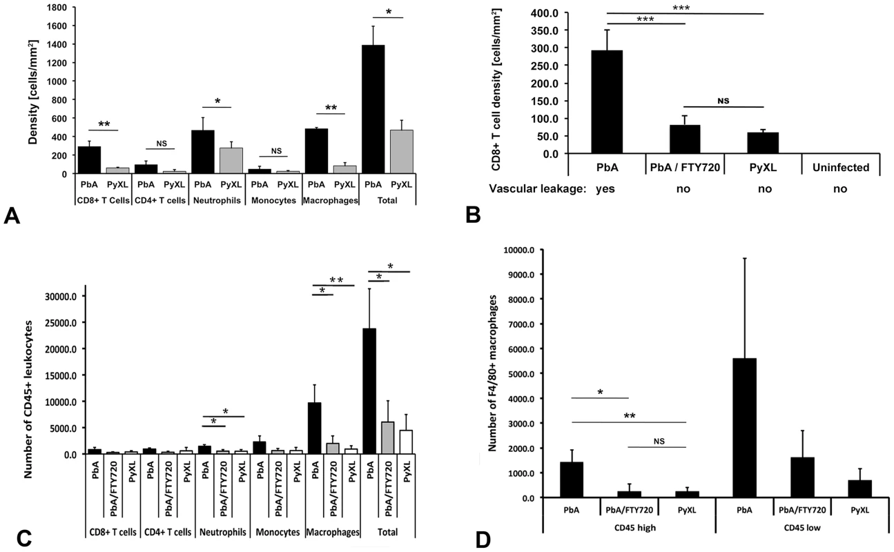 Leukocyte recruitment to cortical postcapillary venules during ECM and hyperparasitemia.